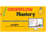 Mastering Order Flow Analysis by N.Saravanan