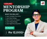 Vinbull Trading Academy Online Mentorship Program Course 2025