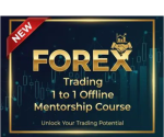 Secret of Trading Forex Mentorship Course