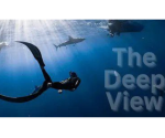 Learn SMC with Kushal The Deep View